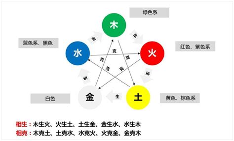 大红花风水|风水学里植物的五行属性